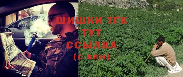 гидра Абаза