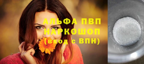 гидра Абаза