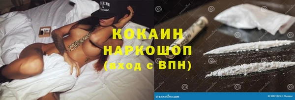 гидра Абаза