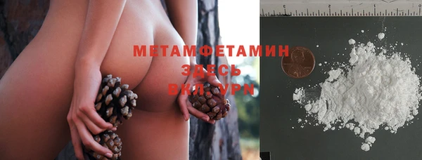 гидра Абаза