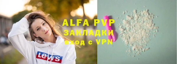 СК Алексин