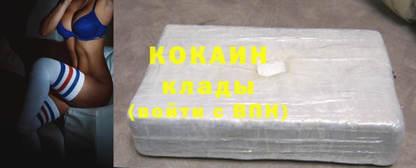 гидра Абаза