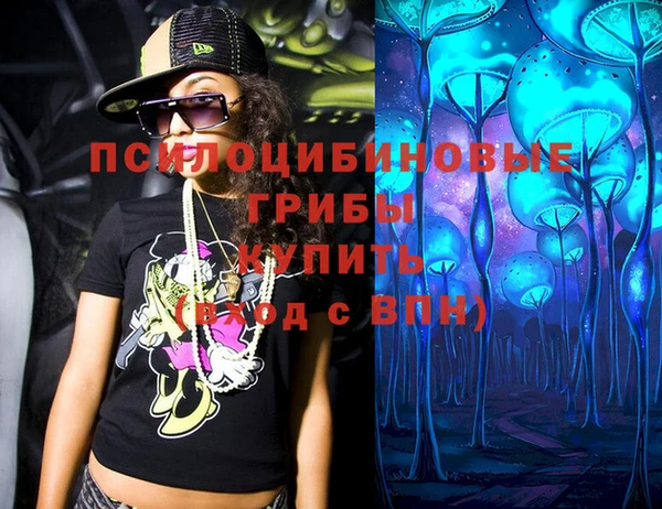 крисы Абдулино
