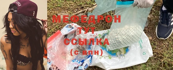 гидра Абаза