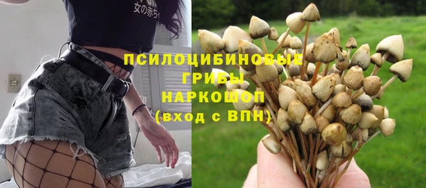 гидра Абаза