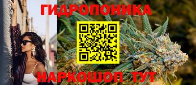 прущие грибы Ливны