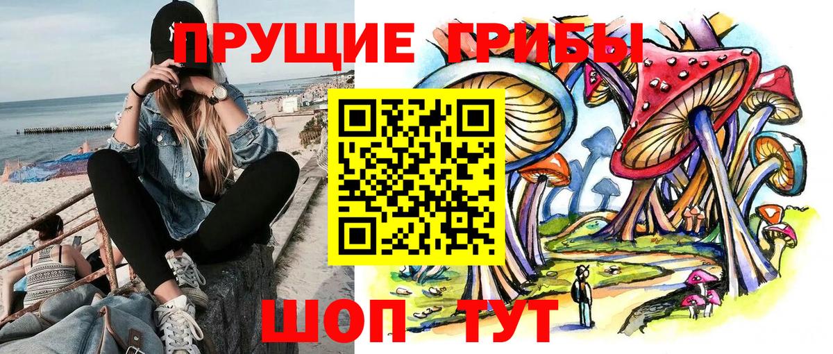Ивантеевка  Псилоцибиновые грибы Psilocybine cubensis  Вход с VPN 